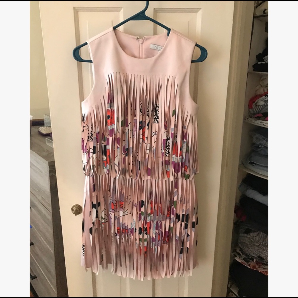 Alexis Floral Trim Dress